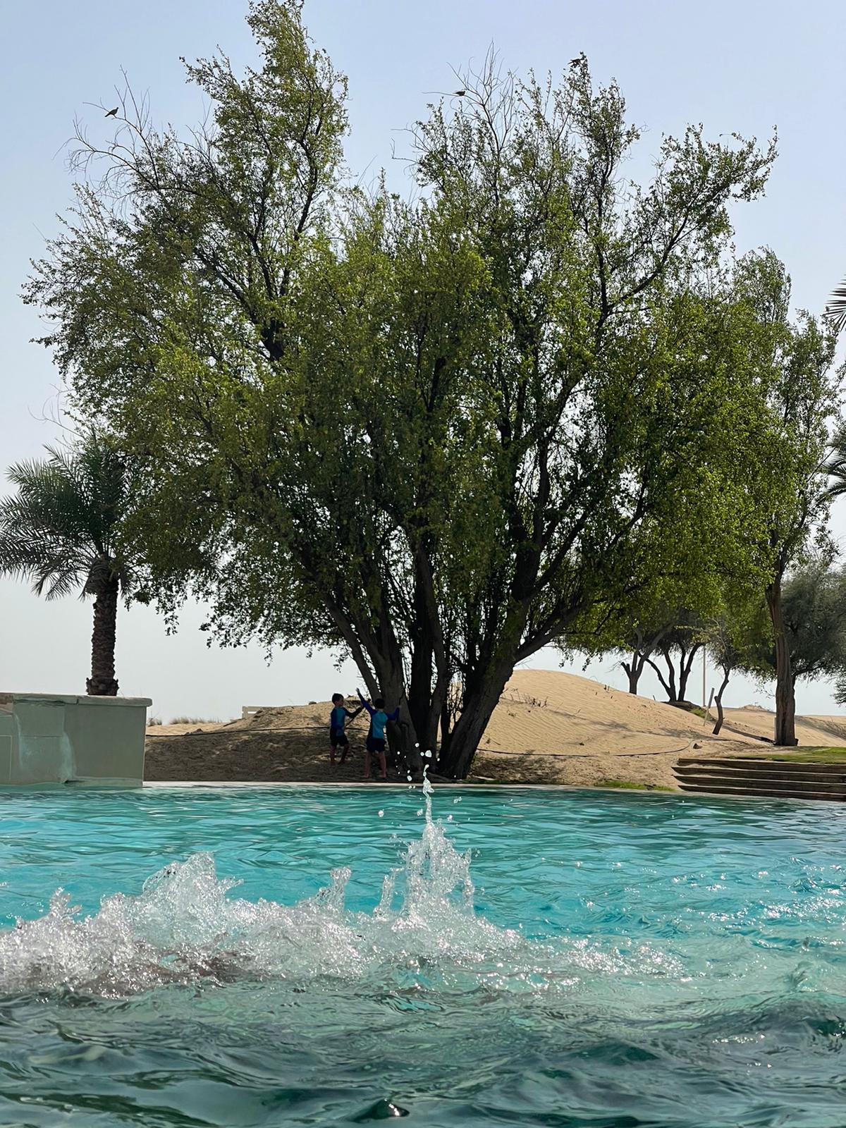 Read more about the article Emirat Ras Al Khaimah als Touristenmagnet – Ein Turbo für die Aktie von RAK Properties PJSC?